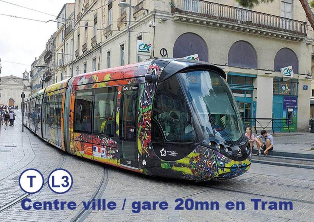 Montpellier Studio Climatise Экстерьер фото